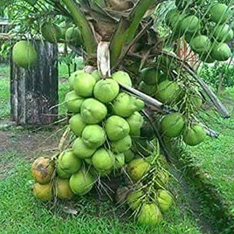 Nig_Farmer tweet picture