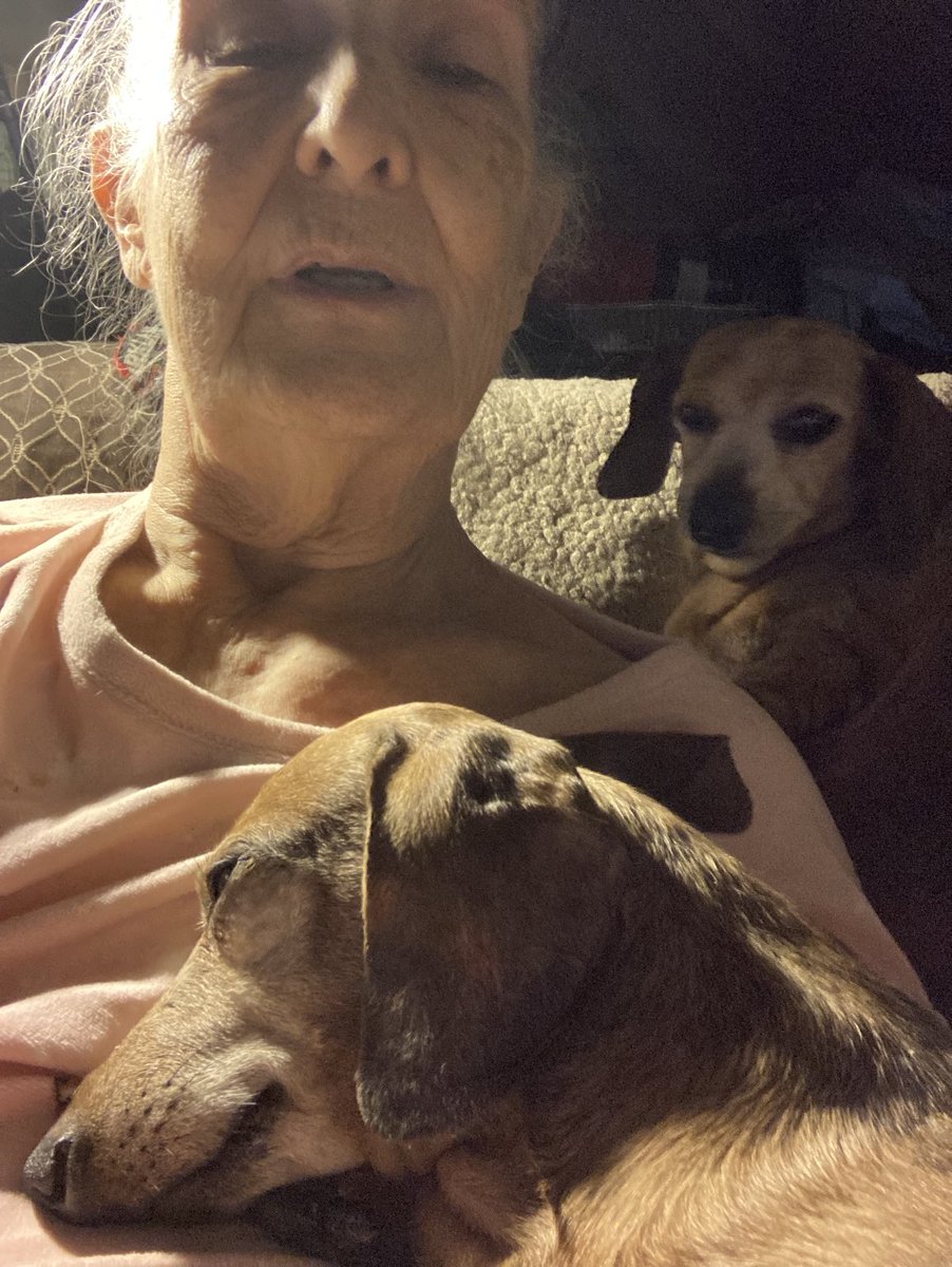 Nothing like being a Doxie Mom. Ruddy in front (totally loves being on my chest hearing my heartbeat). Patches on my neck/shoulder doing her wrap around pose. They will both adjust somewhat when I lie down, but only as necessary. 🐾❤️🐾