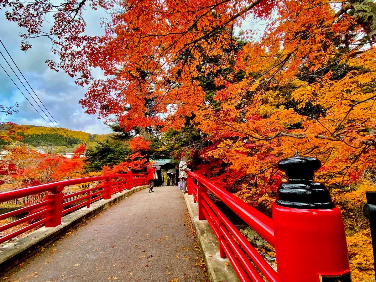 花禅の庄【青森県黒石市】 tweet media