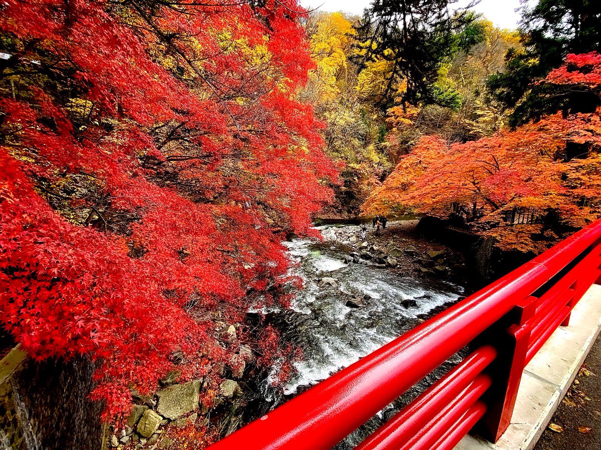 花禅の庄【青森県黒石市】 tweet media