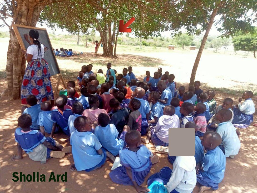 sholard_mancity's tweet photo. Mr. Ruto told Aljazeera that every student in Kenya has a classroom and that he's built thousands 

Aljazeera 

I want to show you what that lie looks like in real life.  

This is a school in Kilifi where children are studying under a tree. No walls. No roof. Just the open sky and their determination.  

 So when Mr. Ruto says "all students have classrooms, and that he's built thousands" I ask: is this what he calls a classroom?  

Aljazeera, if you’re serious about truth, I can share the exact location. Go and see for yourselves.  

 I’m not here to play politics. I’m here to protect our children from being erased by lies.  

 Mr. Ruto didn’t just mislead you he erased the reality of these students.  

And when you erase their struggle, you erase their dignity.  

We won’t let that happen. Not on our watch.