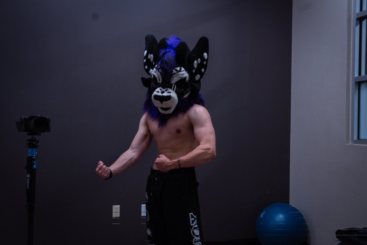 Didn't they tell you, if you wear your fursuit at the gym it gives a muscle gain multiplier buff.