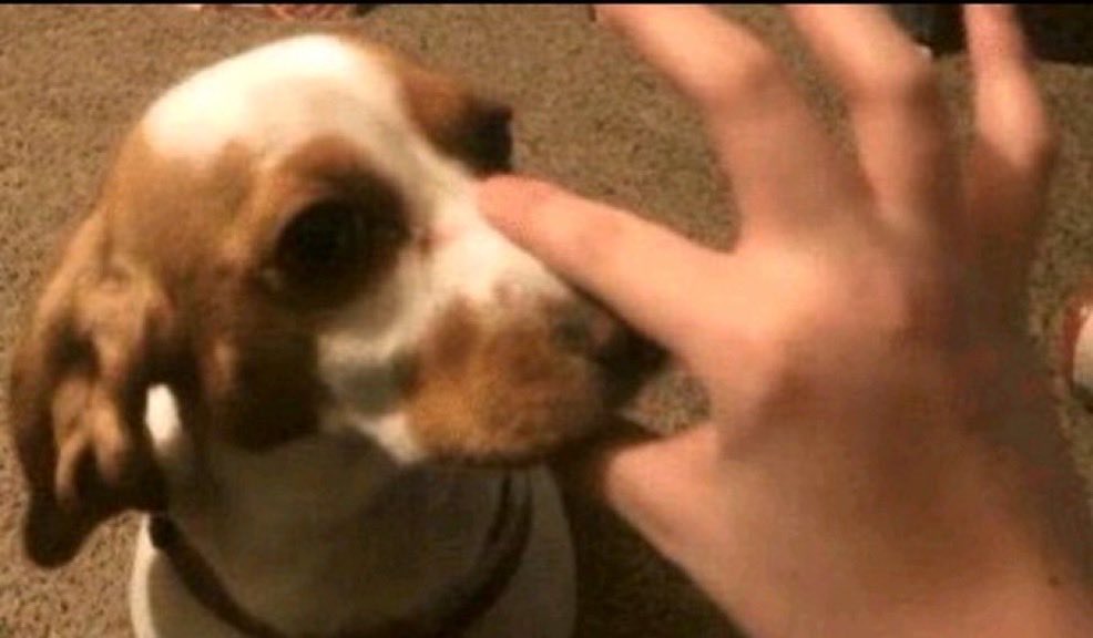 عبـدالـوهَّـاب ⚔️📿 tweet media