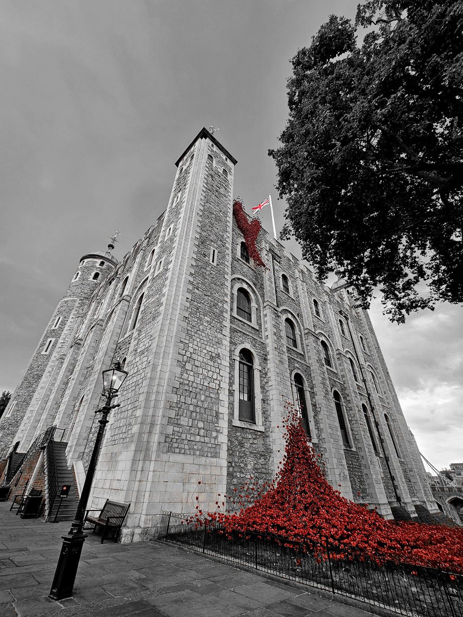 BeeRfeater tweet media