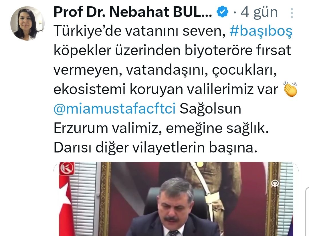 Bir doktor(!) neden kişisel hesabını bütünüyle hayvan düşmanlığı için kullanır ki! Nasıl bir ruh halidir bu, neyin hırsıdır? Bir sokak hayvanından bu derece korkmam, merhametsiz bir doktora gitmekten korktuğum kadar! Yazık!