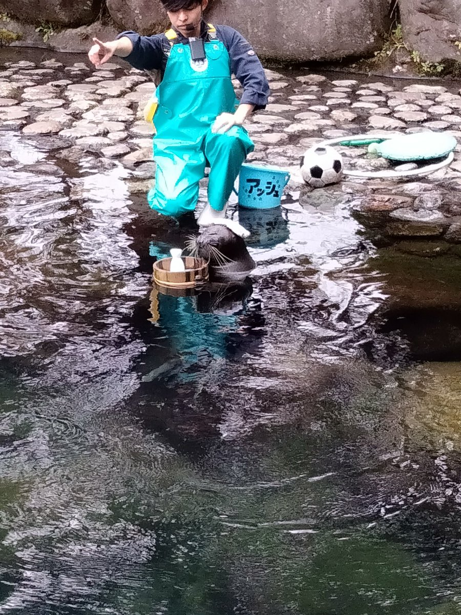 Orca AkuAページ Alca on X