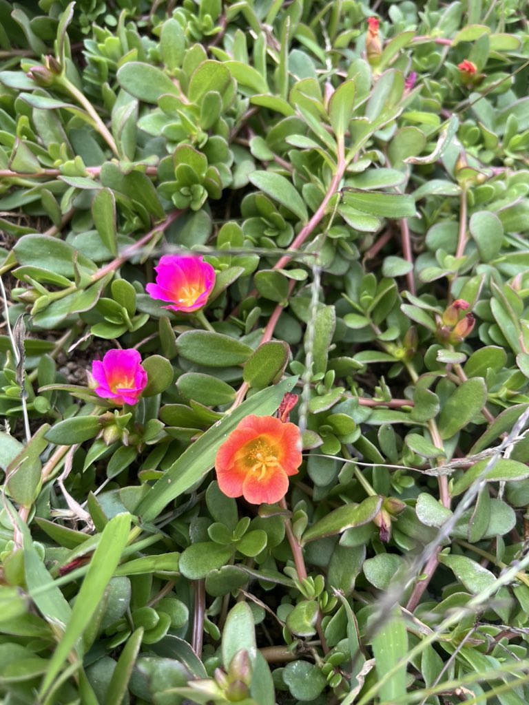 #Junhearts💎 #熊谷淳 ♀🧸 #JK #Jun♀🇯🇵🌏【公式】 (@jk_junhearts) on Twitter photo 