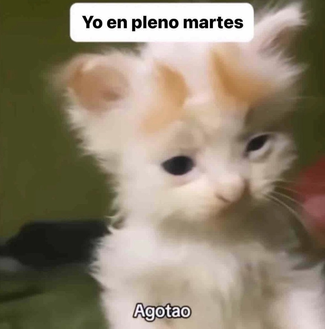 En Júpiter (@en_jupiter_) on Twitter photo 