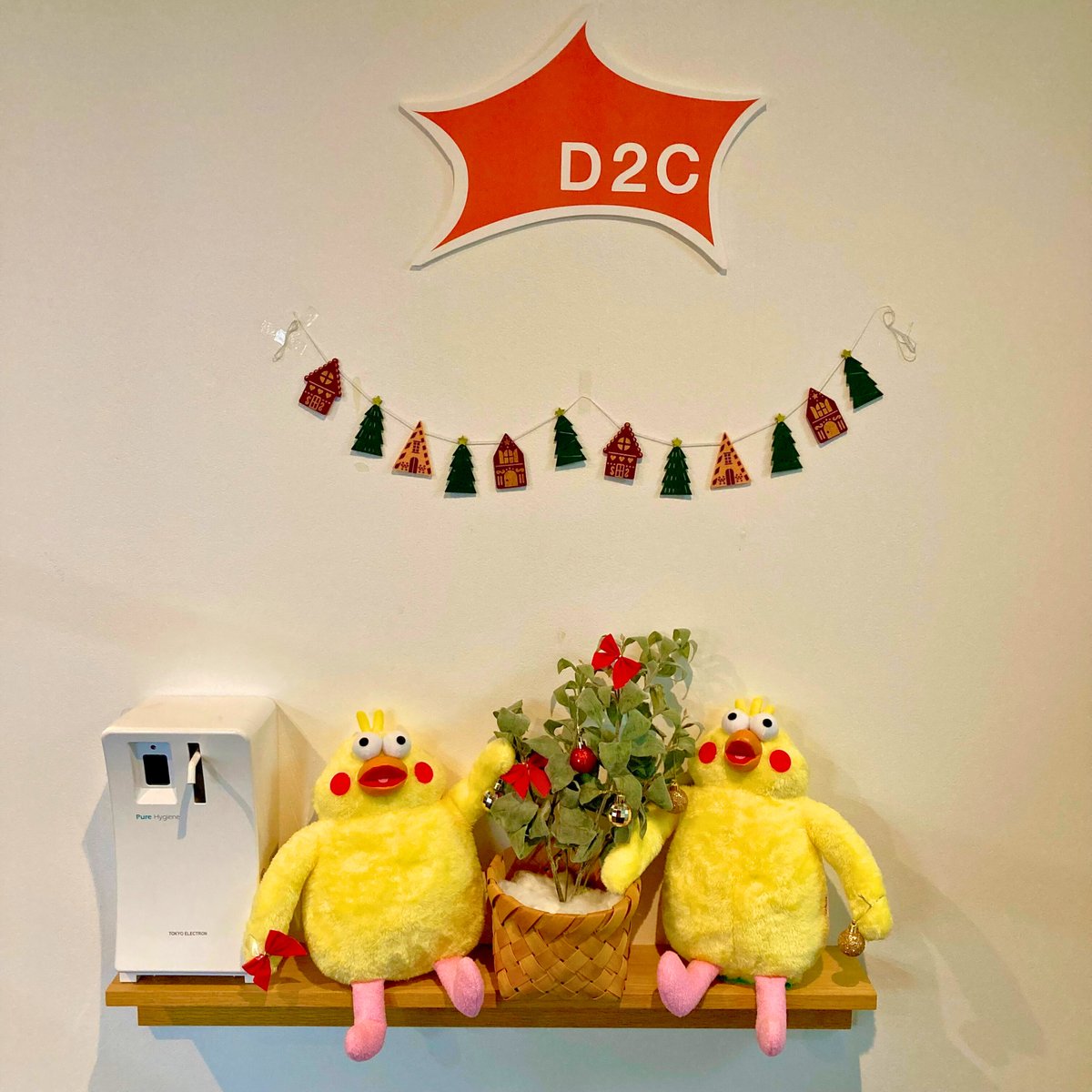 ぽいんこ ポインコと山歩き🐥🐥🐾 (@paopaopanda_jp) / Posts / X