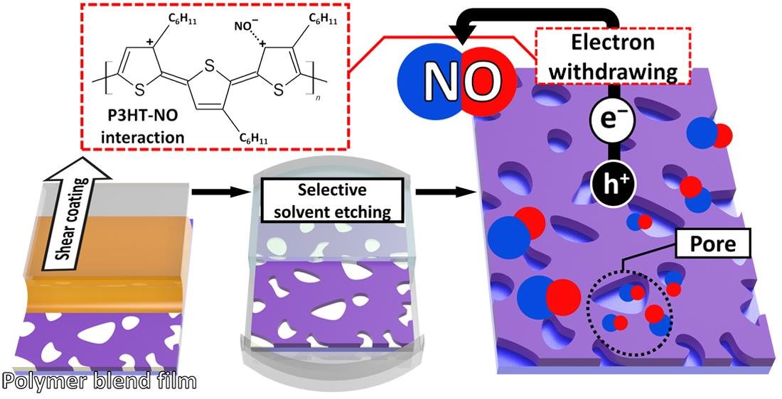 Biosensors_MDPI's tweet image. 📣Call for Reading:

#Article
High-Performance Nitric Oxide Gas Sensors Based on an Ultrathin Nanoporous Poly(3-hexylthiophene) Film

by Ganghoon Jeong, et al.

mdpi.com/2079-6374/13/1…

#NitricOxide #OFET #hexylthiophene #Conjugatedpolymer 
#biosensors #mdpi #openaccess