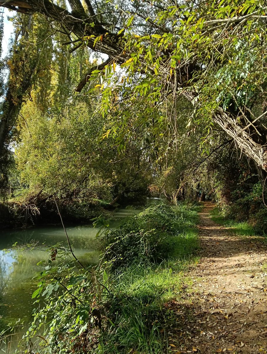 PUEBLOS DE JAÉN 
Fotos del Sendero del Pasillo de la Vida entre Mogón y Santo Tomé.