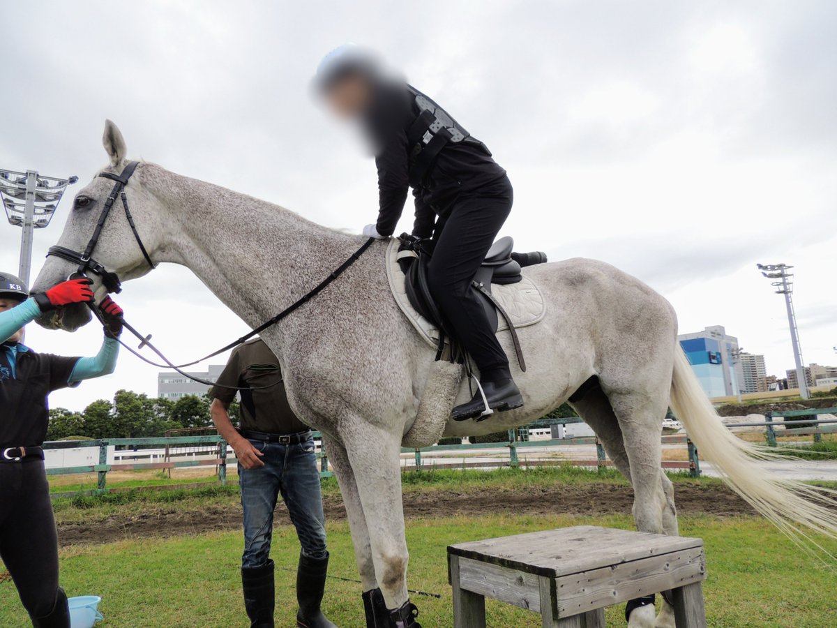 馬の取扱い研修⑦】 曳き馬で馬とのやり取りに慣れてきたら、いよいよ