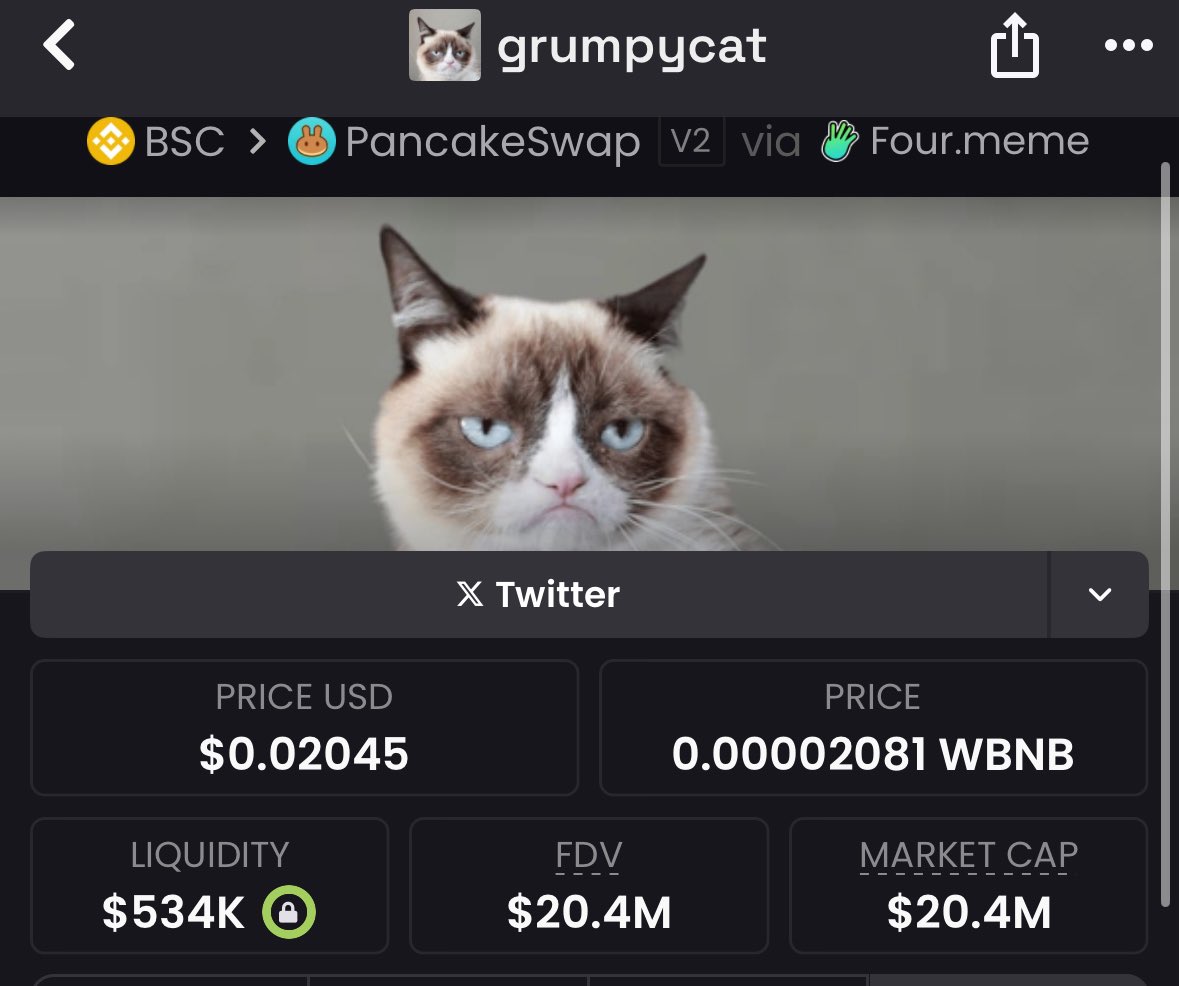 Sevorom1's tweet photo. Another one locked in: $GrumpyCat from $841K → $20.4m MCAP! 💰
These aren’t guesses — they’re calculated hits.
Quiet work. Loud wins.
🚀 Join the alpha circle.

https://t.co/5HeQNEbBej

0xABdFCAA7C7A5941E83C504486BE8DD7aDB834444 https://t.co/C4rRXmFgTW