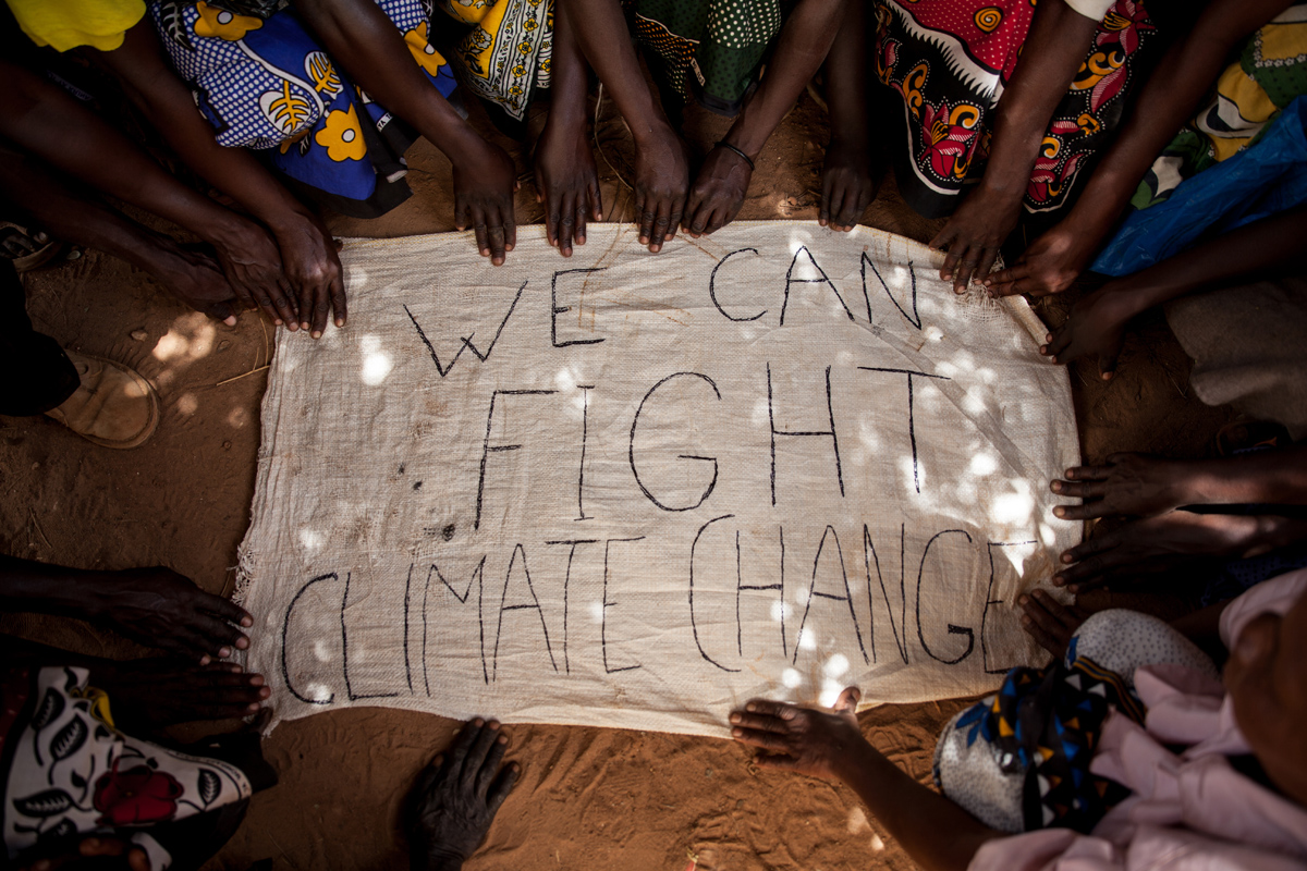 Atzavara-arrels tweet media