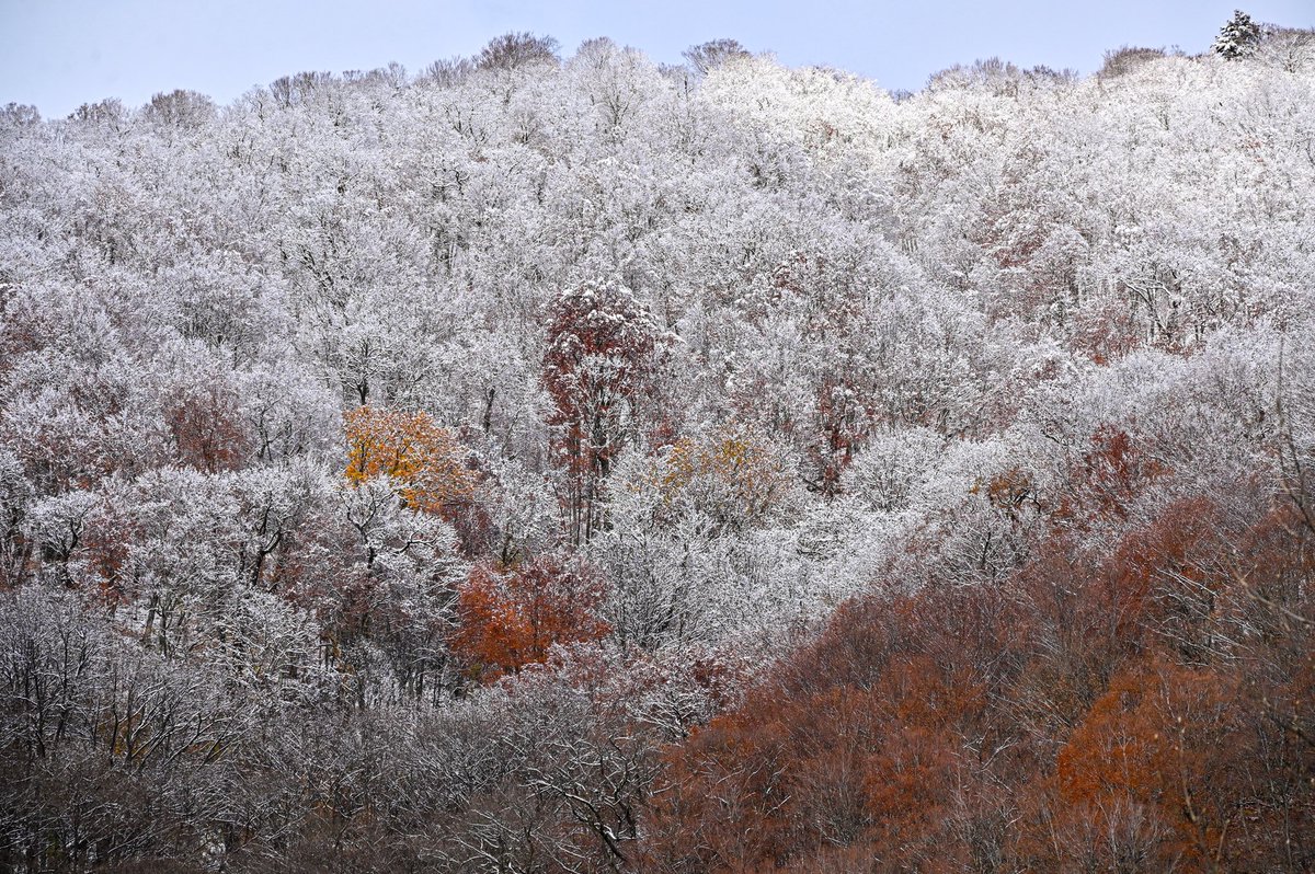 今朝の檜枝岐は山々が雪化粧☃️

道路に雪はありませんでしたが、今晩も雪の予報が出ています❄️

お越しの際はスタッドレスタイヤを装着し、安全運転でお越しください🚗
　
#ふくいま #イマソラ #空ネット