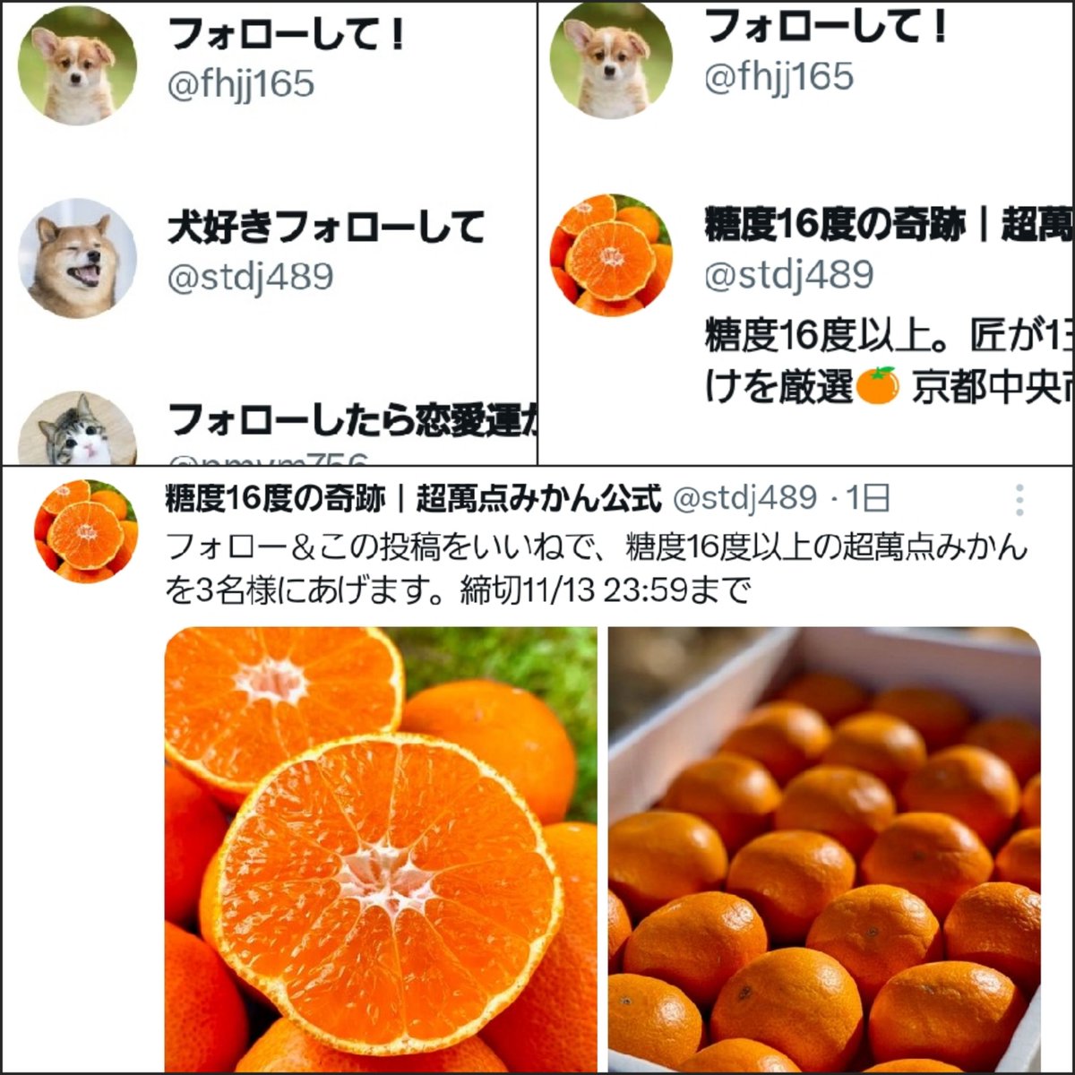 インプレゾンビしまっちゃうおじさん (@4643Pharma) / Posts / X