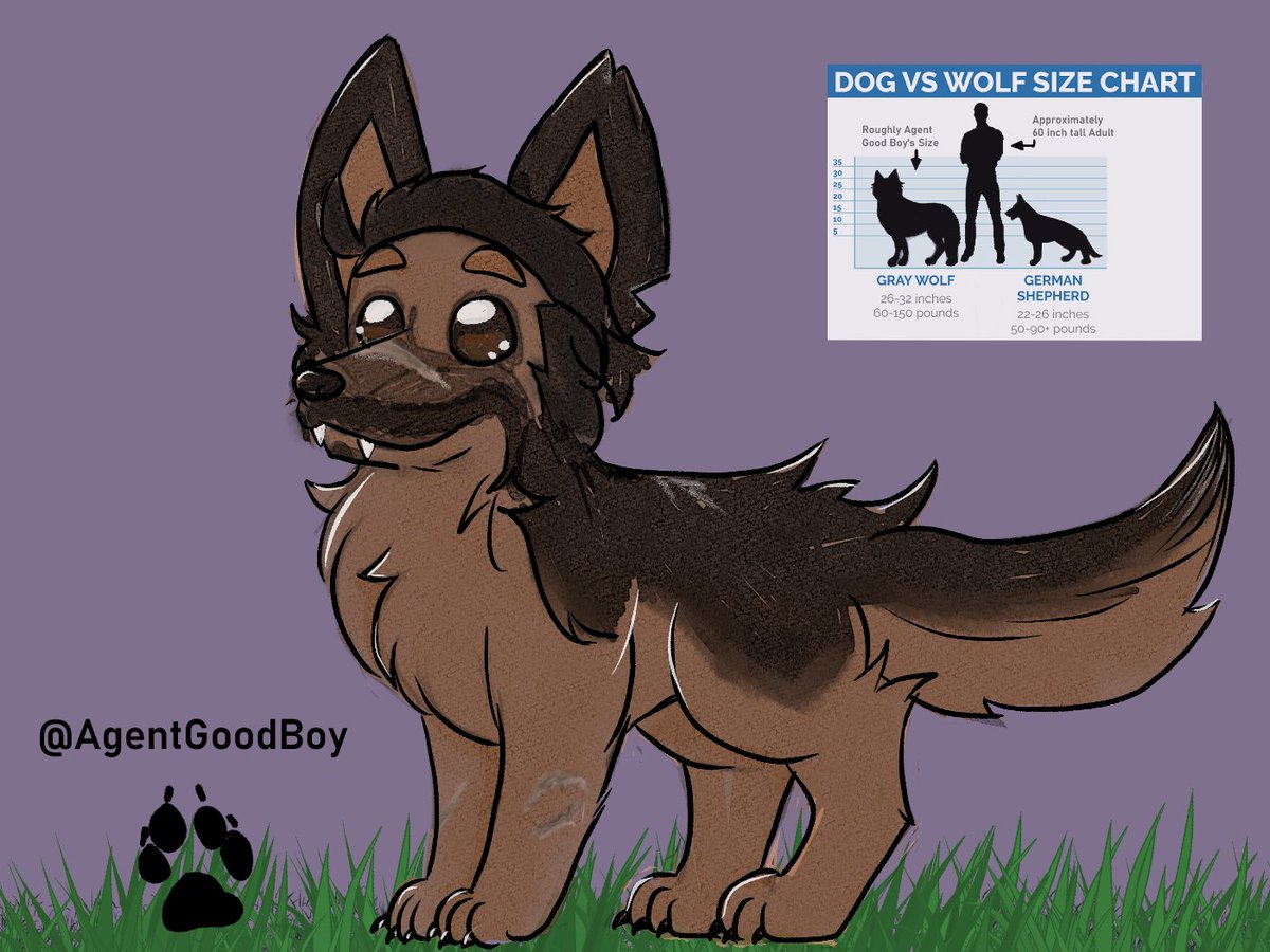 Abahn Stone 🐶🦴 tweet media