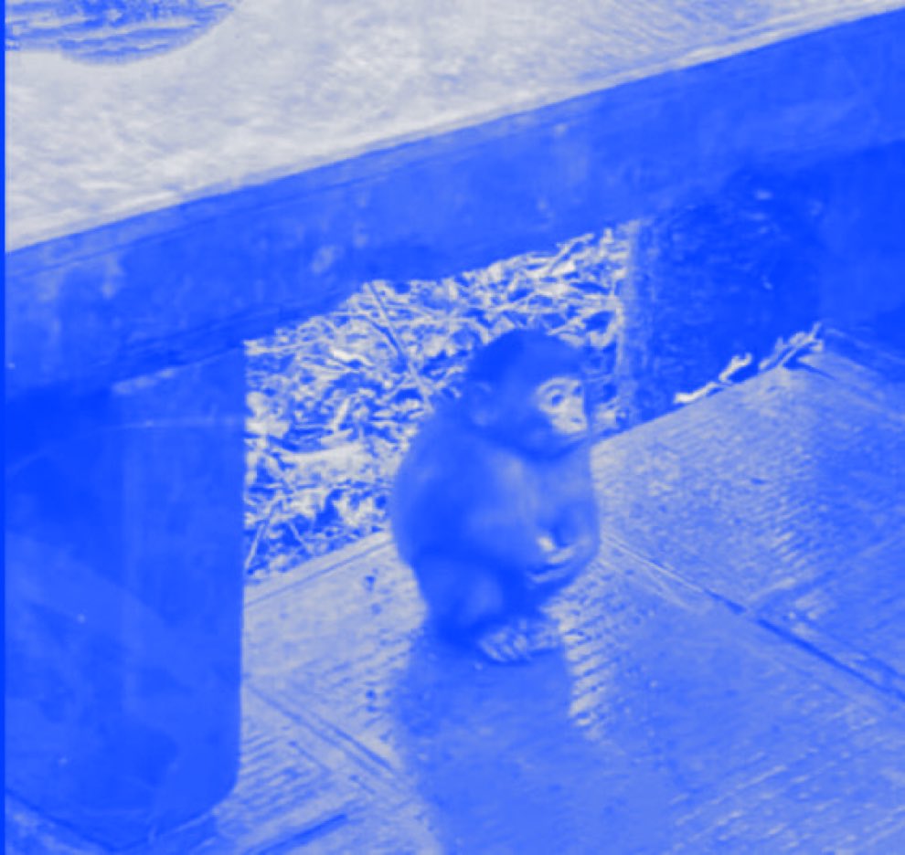 nukimoya (@nukimoy4) on Twitter photo 