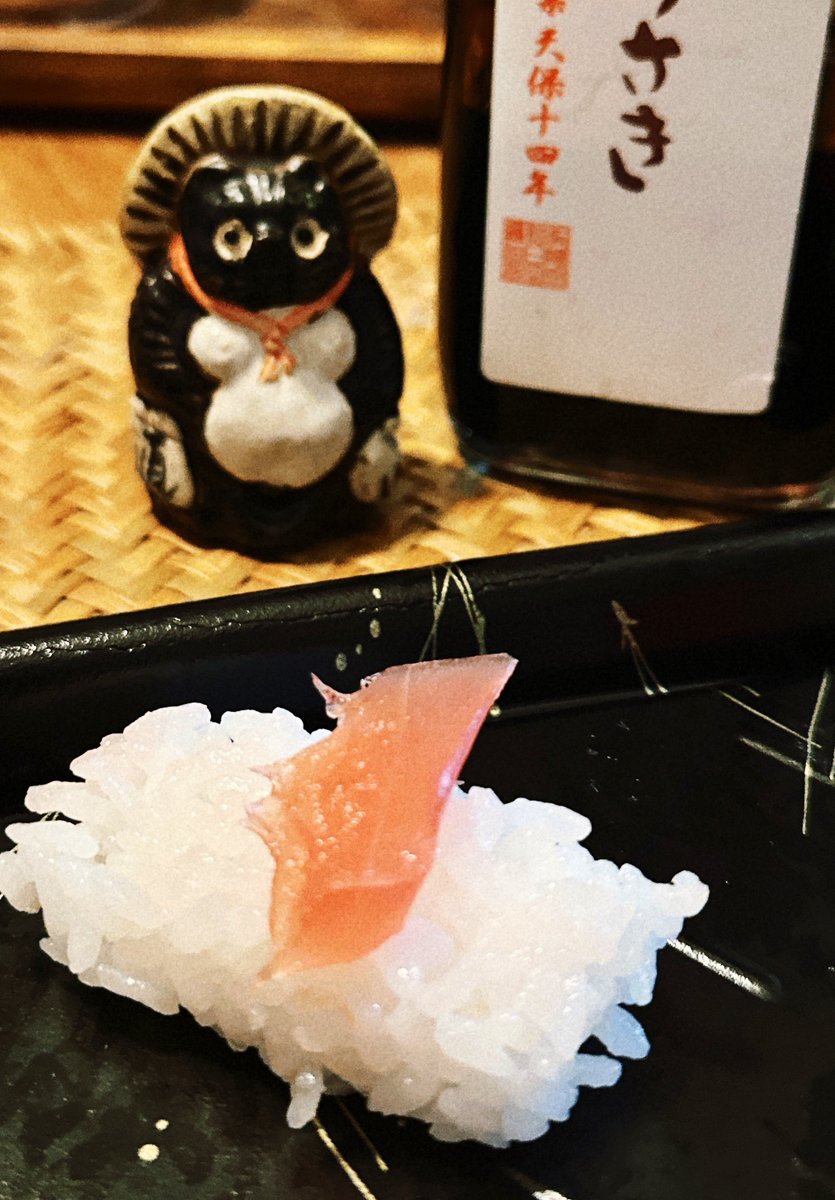 サコ (@sacoeco) / Posts / X