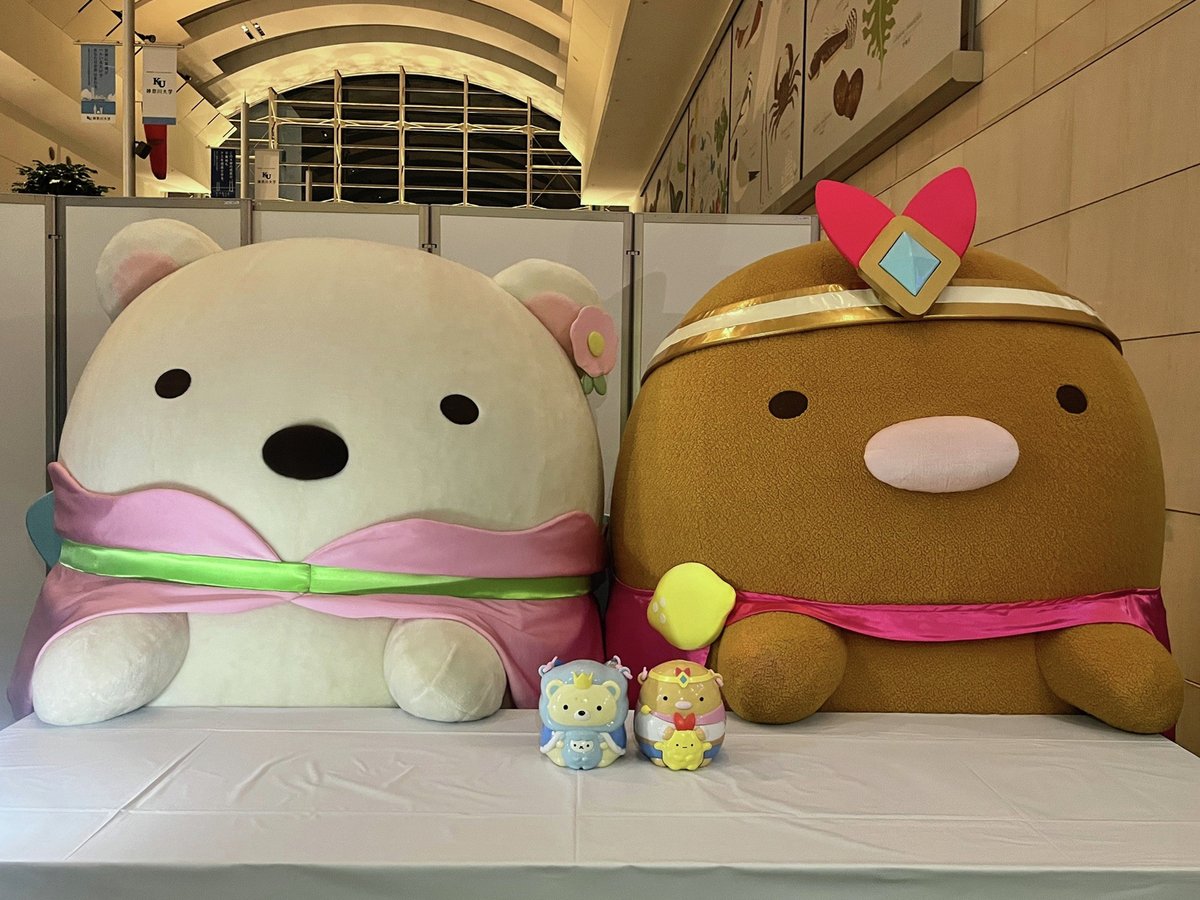 しろくま33˙ᴥ˙🦎🦕 (@toshirokuma0511) / Posts / X