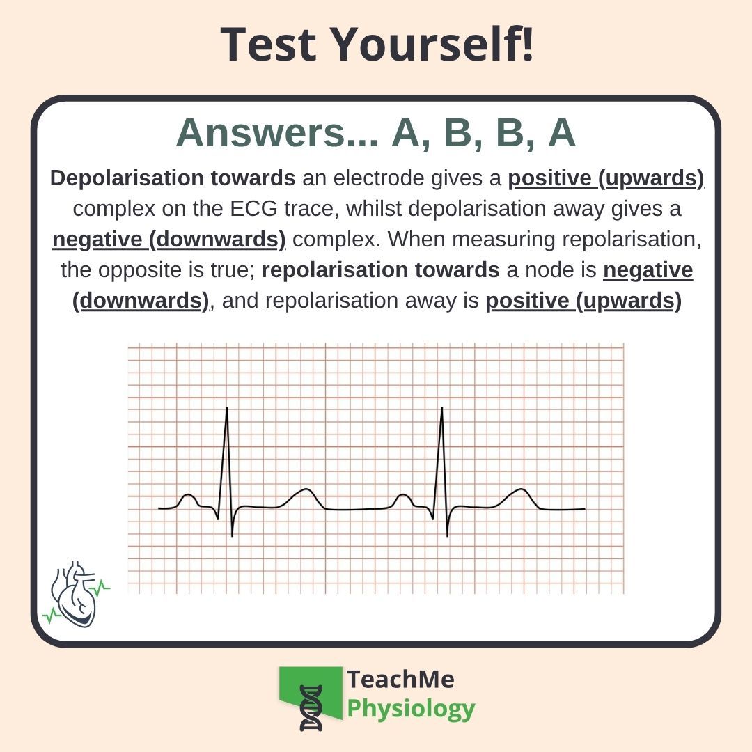 Did you get it right? ✅
Still, it can't hurt to learn more about ECG 🤓

Check out our article on the ECG shorturl.at/nQWLp

#TeachMePhysiology #physiology #education