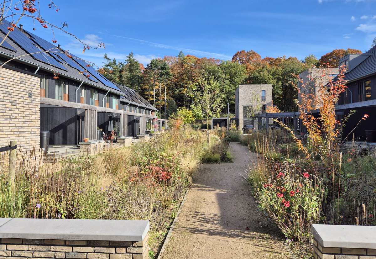 NandaSluijsmans's tweet image. De #natuurinclusieve buurten in #Ede zijn schitterend in herfstkleuren!🍂❤️🍁