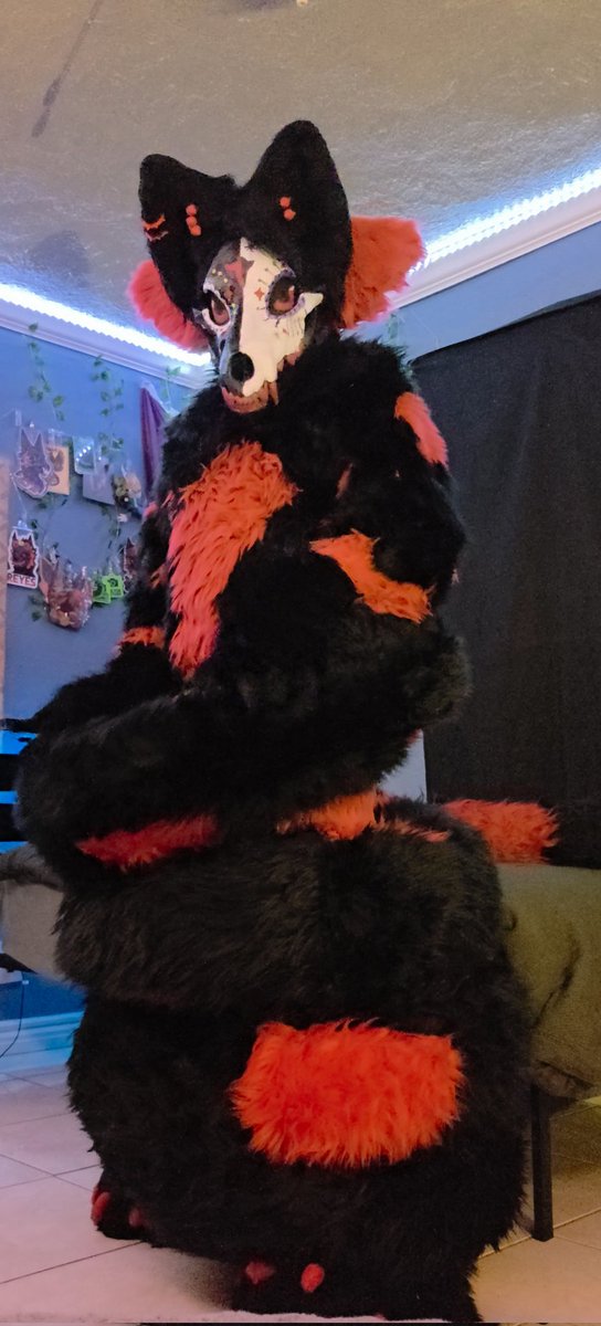 ⛓️🥀PunkWolf🥀⛓️🔜GSFC,LD26,ASC26 tweet media