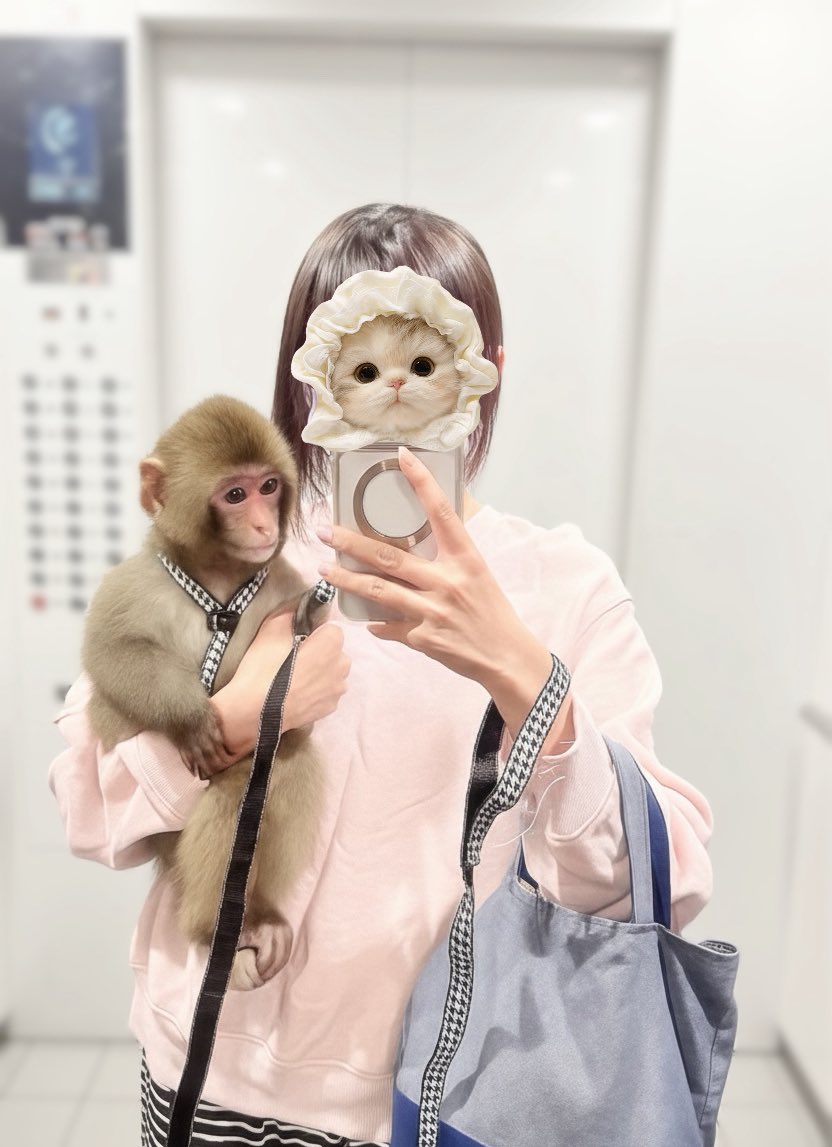 美容♡らむCh寝るzZZ (@ramuko_no_X) / Posts / X