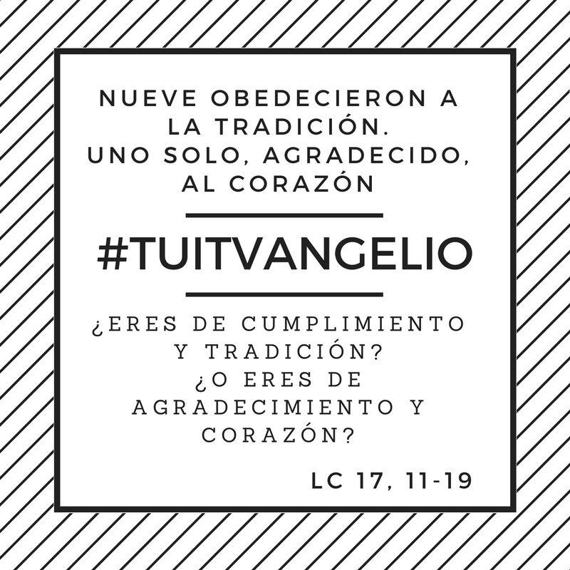 scarRomano's tweet photo. #11DeNoviembre
#Lc17,11-19
#Tuitvangelio
#EvangelioDelDía https://t.co/hqqGjli6Ps