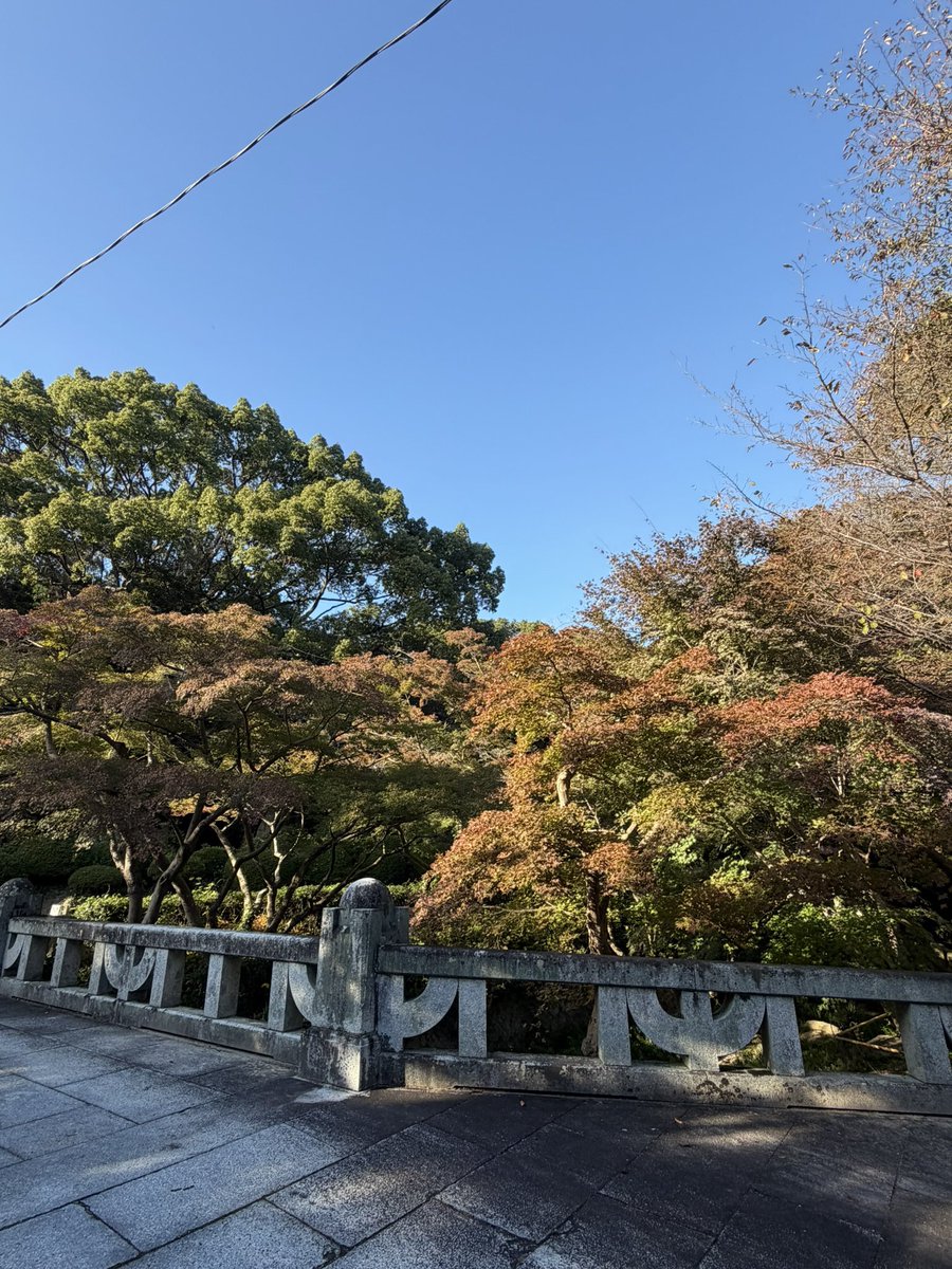 tatsuya4435's tweet photo. 防府市の紅葉🍁 https://t.co/gNe2EiFh8c
