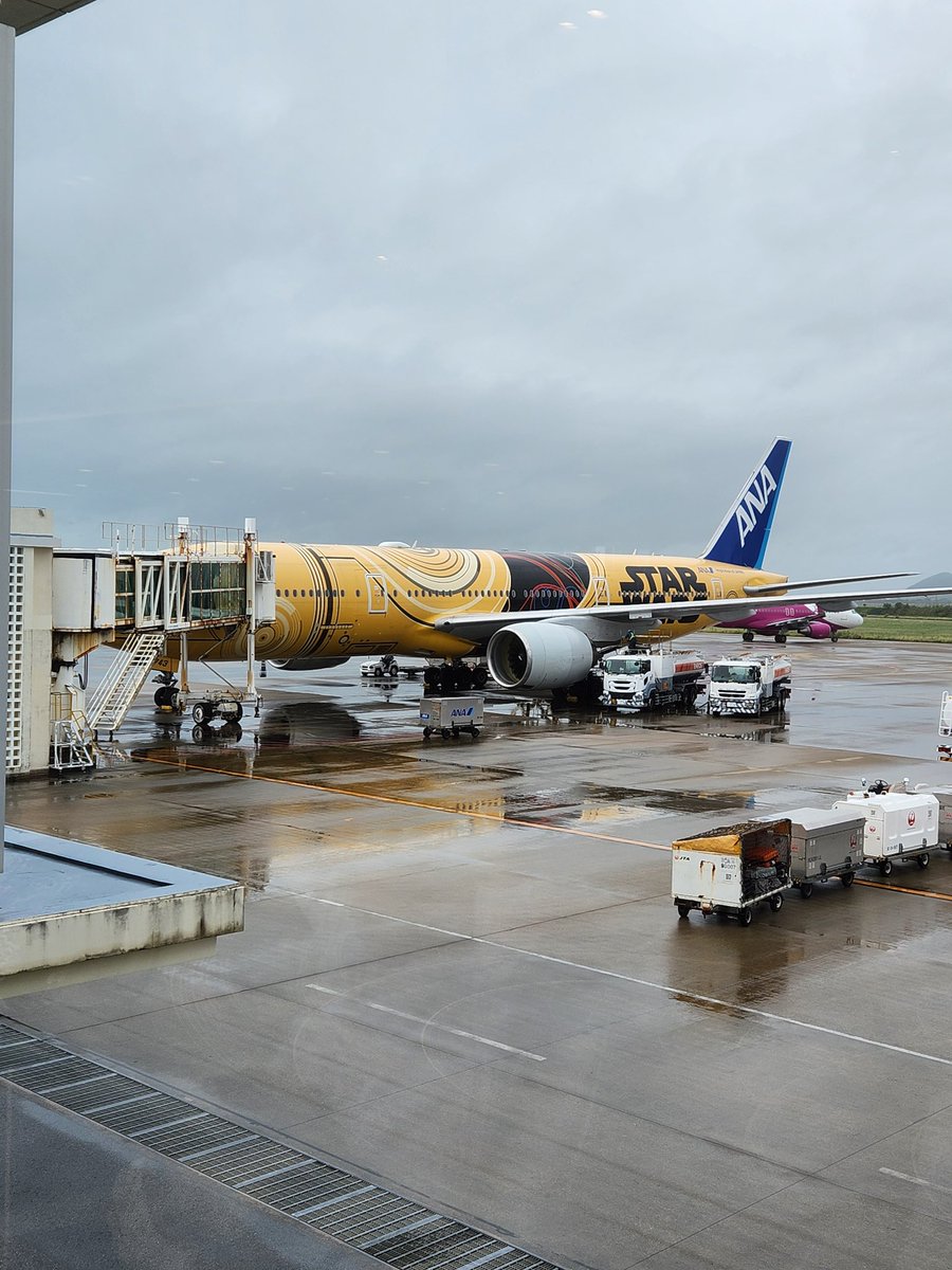 11月なのに台風🌀。
帰りの便はスターウォーズ
＃石垣島
