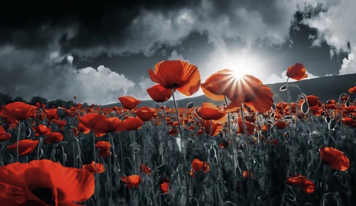 At the 11th hour of the 11th day of the 11th month, we pause to remember the service and sacrifice of all those who have died in times of war. ​Taking a moment today to reflect on their immense courage and sacrifice. We will never forget. 
​#RemembranceDay #ArmisticeDay