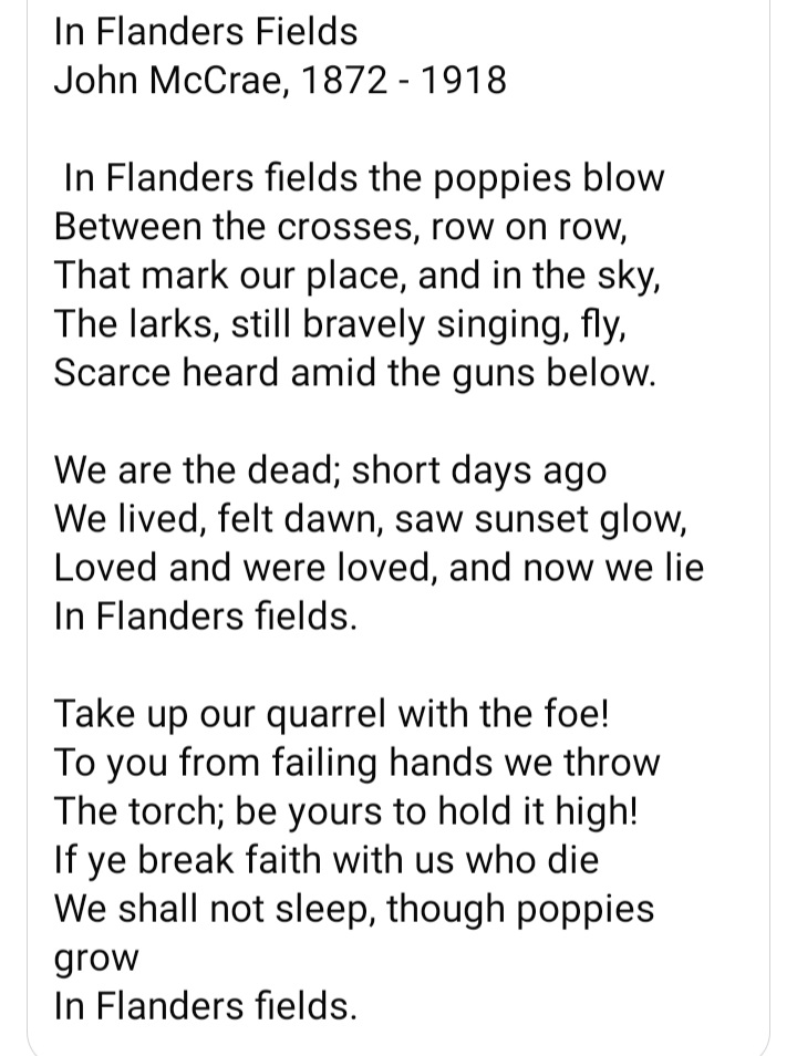 The poppies of Flanders, WW1, we remember the dead 🙏🙏🙏