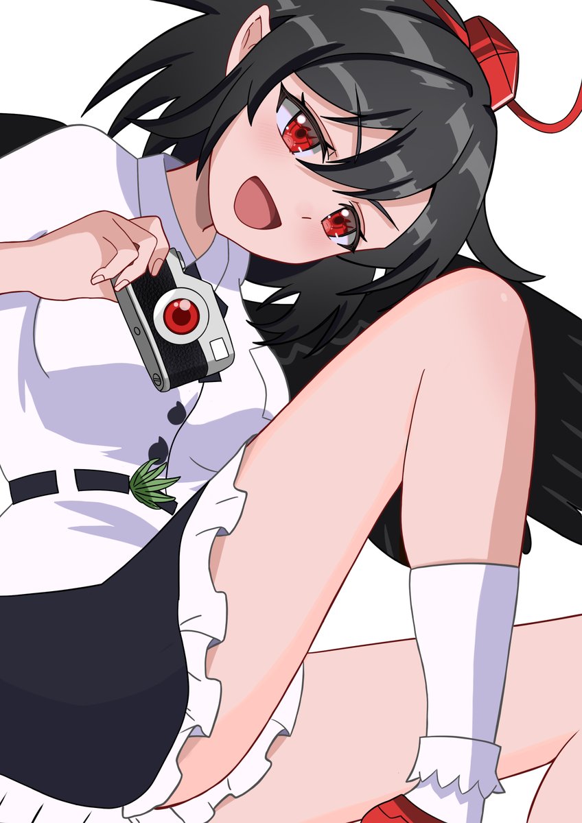 射命丸文
「しまった。ネタを求めてたら、うっかり家の中でした。」
#東方Project