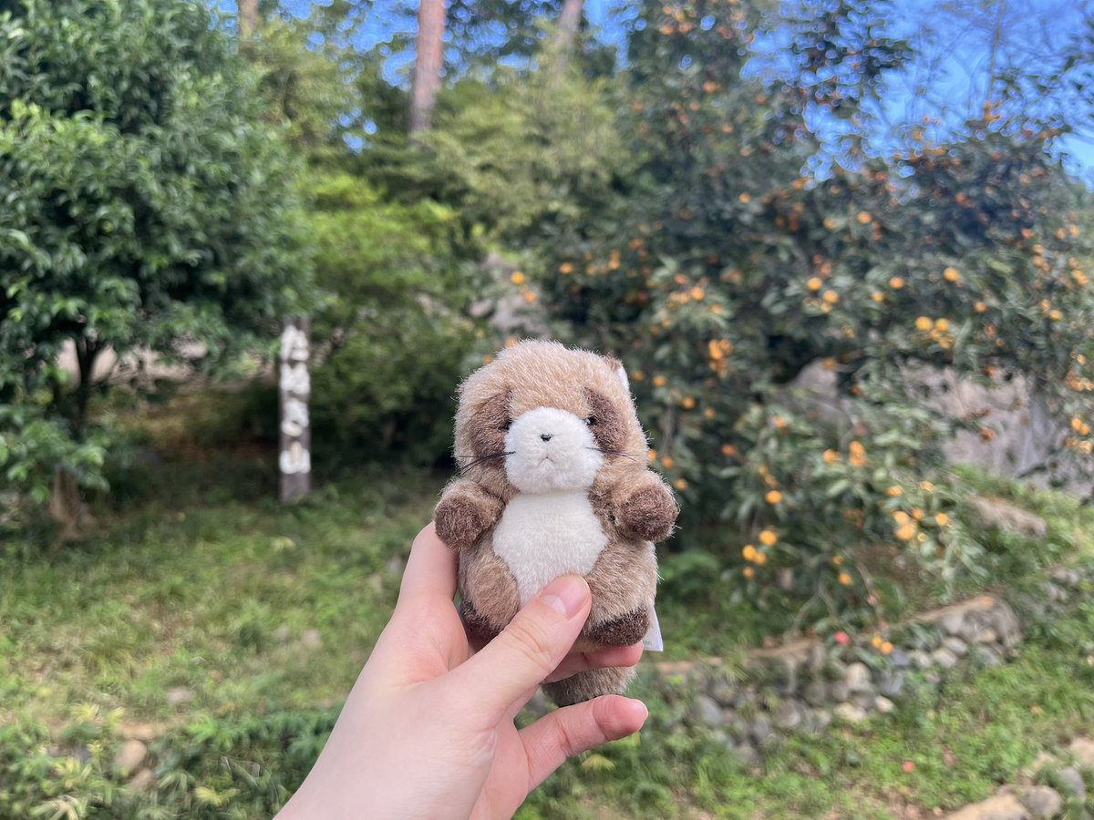 せぴあ (@Zzzparfait) / Posts / X