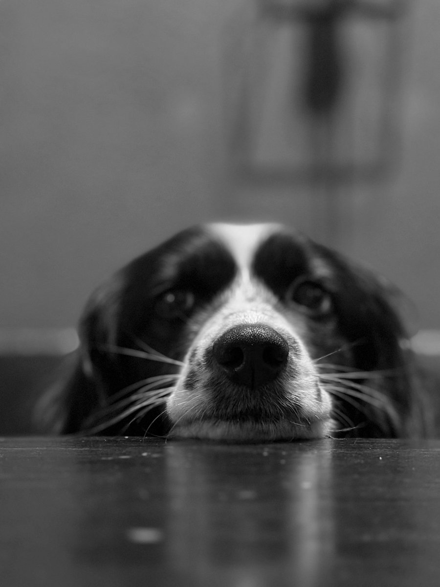 Mijn overbuurman wil ook tonijn