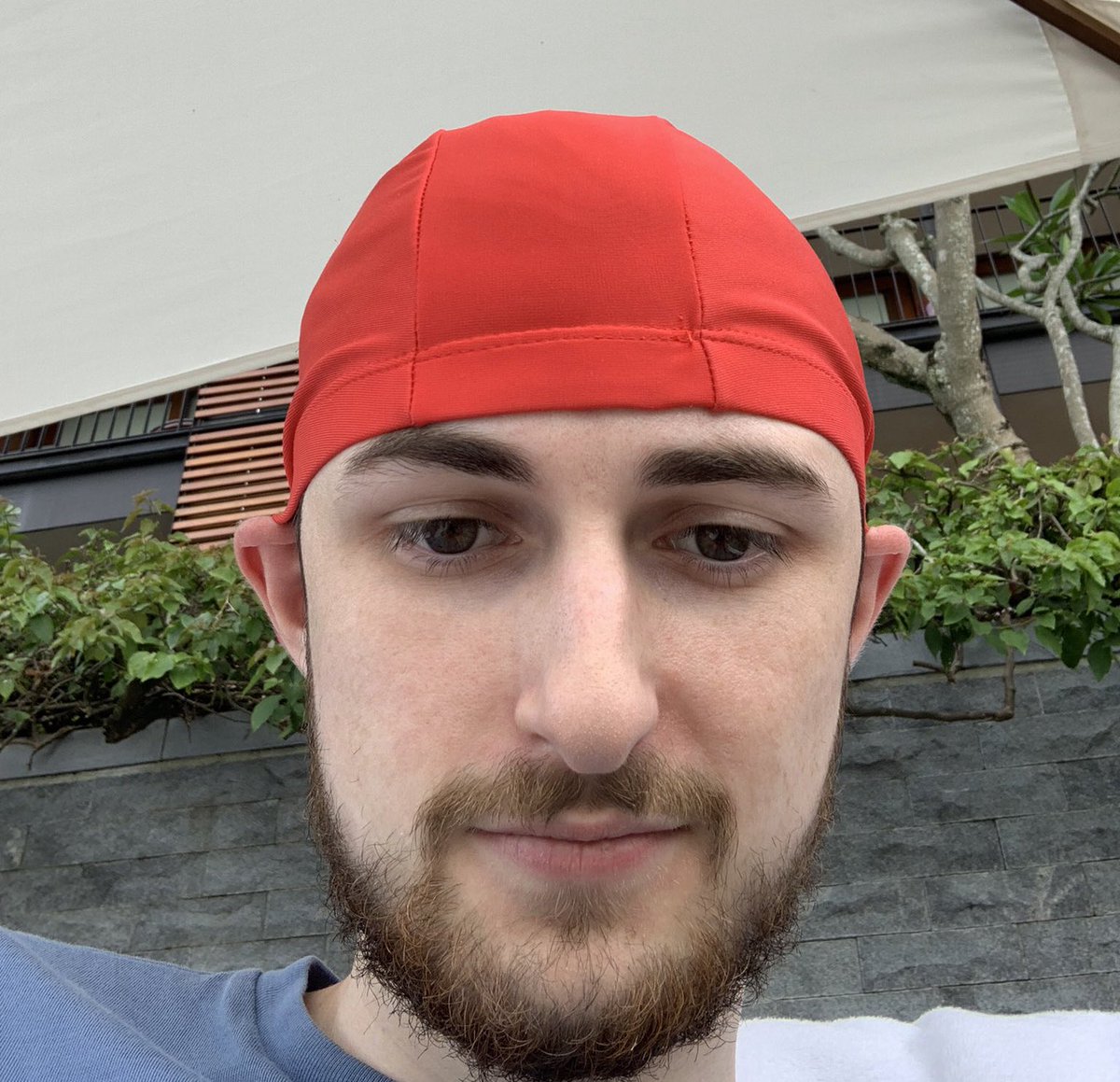 Nik tweet media