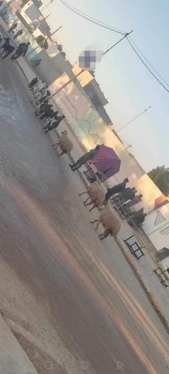 شخبار نزيهة المو نزيهة