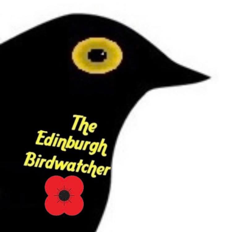 Lest We Forget #RememberanceDay