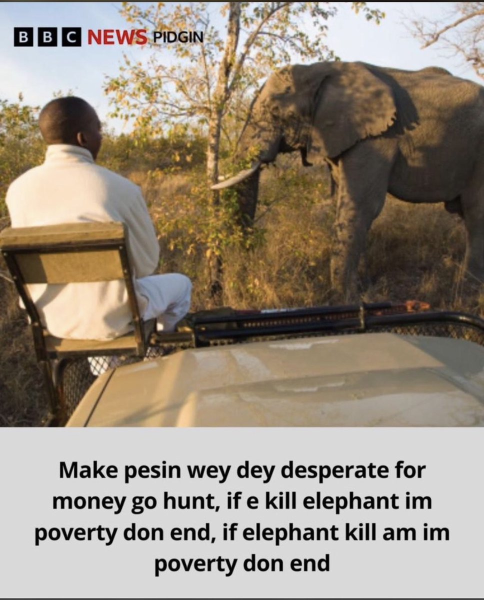 IbeksTony's tweet image. Win-win situation… Don’t dull