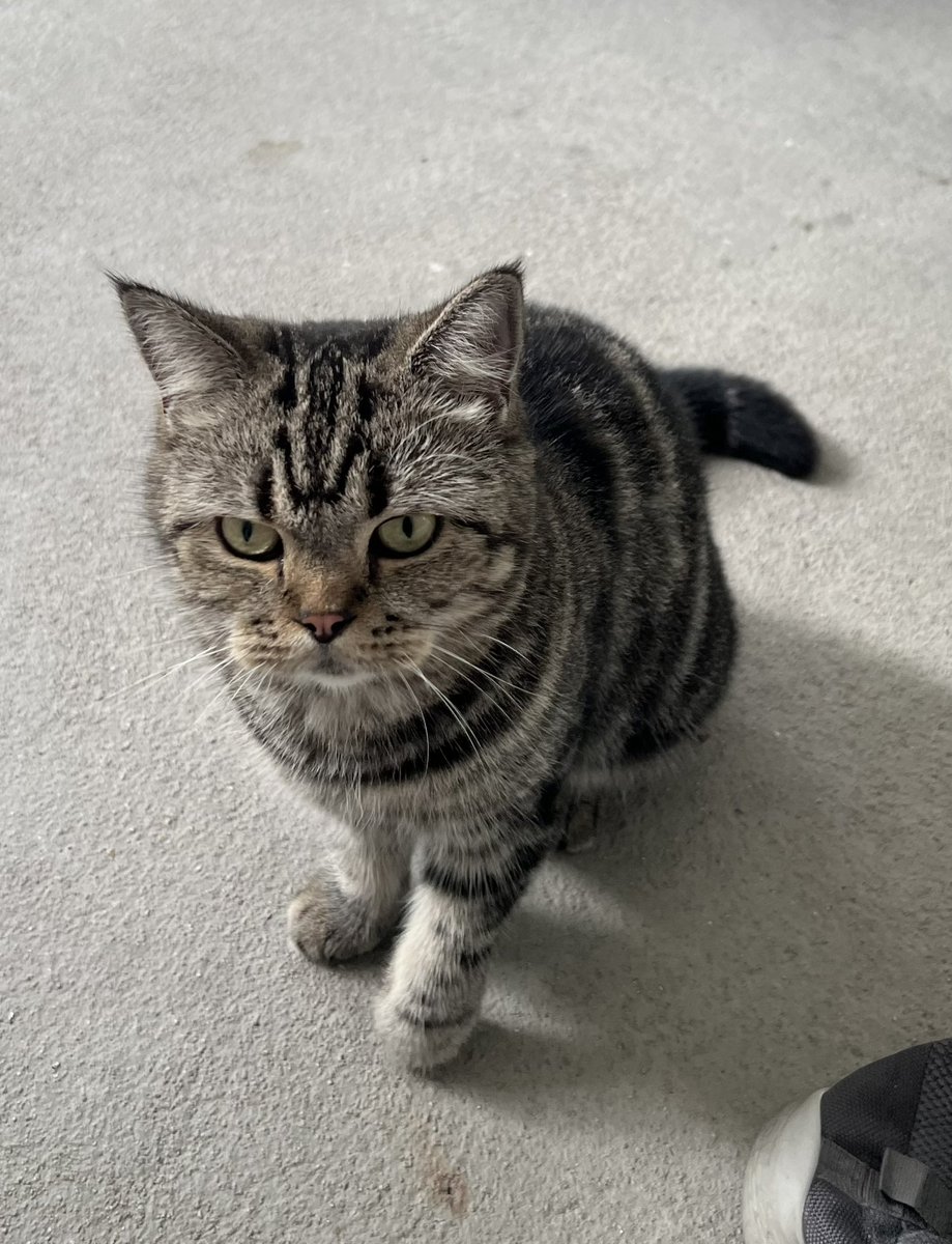 {CEG} MONTHLY CANDLE DUDE tweet media