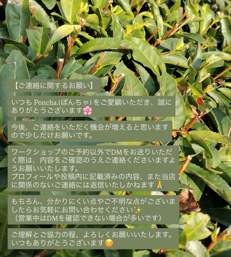 poncha2tea's tweet photo. お問い合わせの際のお願いです🌸

ご一読をお願いいたします😌 https://t.co/ZnrvTj8jYg