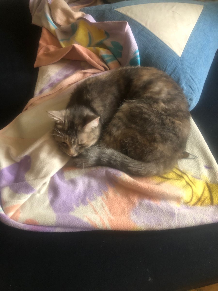 insanebb tweet media