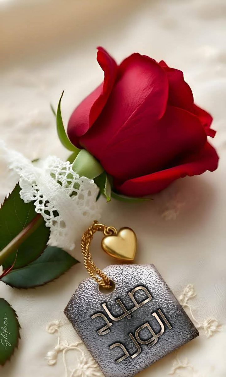 كل صباح ينثر عبيره 
              اتمني لكم صباحاً معطر
          باريج الورد 🌹❤🌹