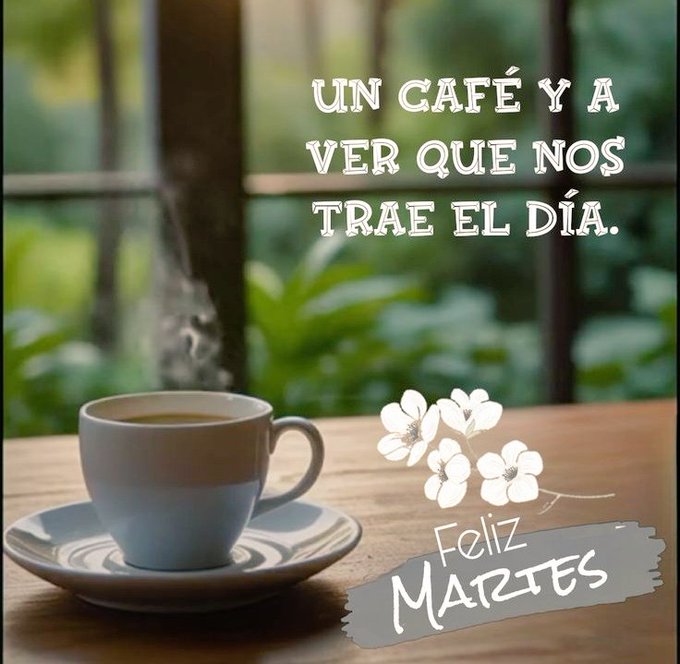A white ceramic cup filled with coffee emitting steam sits on a matching saucer on a wooden table. White flowers are placed nearby. Green plants and a window with natural light are visible in the background. Text overlay reads Un café y a ver que nos trae el día in white letters. At the bottom Feliz Martes appears in gray and yellow text.
