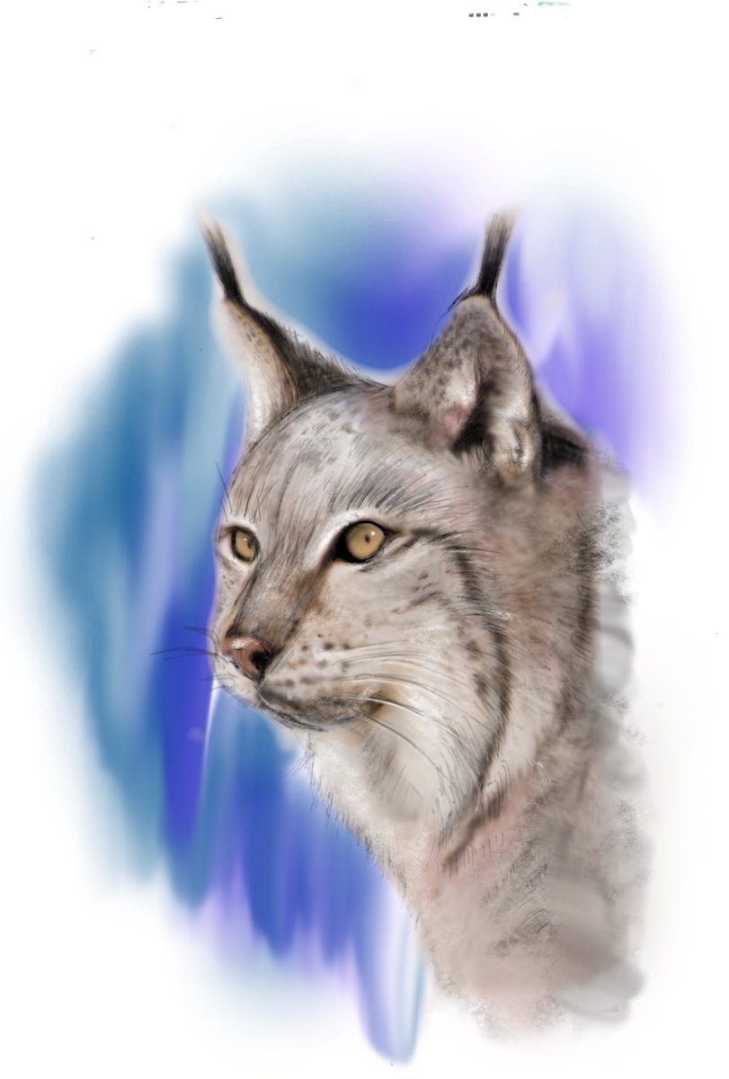 とら (@tora0tora0TORA3) / Posts / X