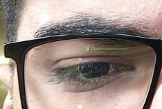 مورولا tweet media