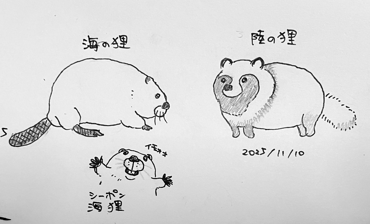 しろか*🦫 (@shirotarosu) / Posts / X