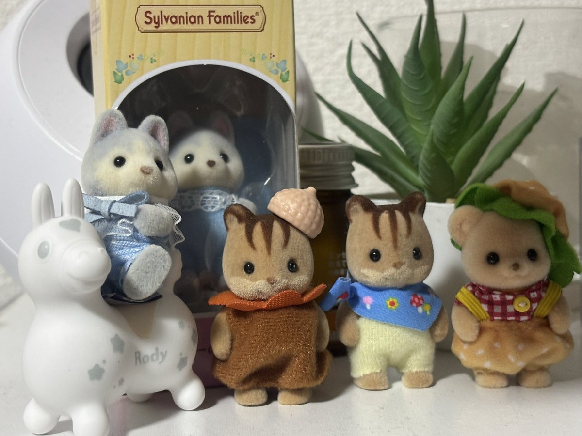 ロディ仲間入り😊😊😊