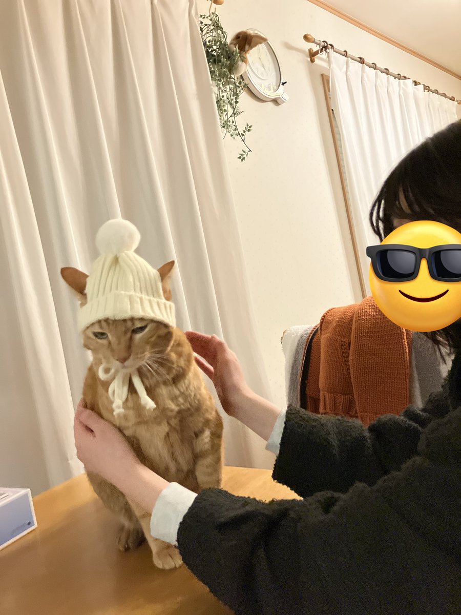ににまる‎ tweet media
